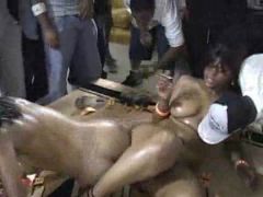 Schwarze Wackelärsche (0)